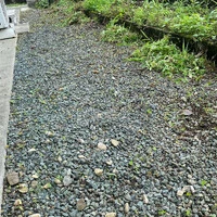 画像255