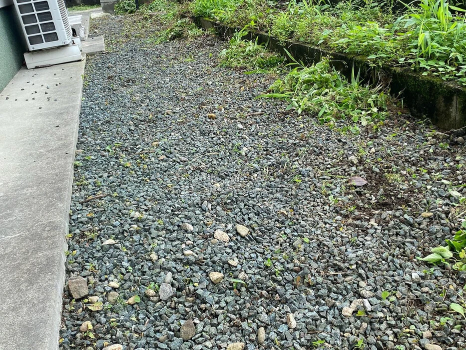 画像255