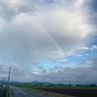 画像289