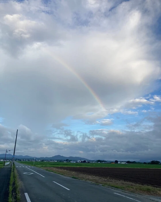 画像289