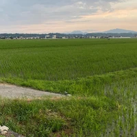 画像292