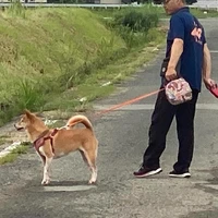 画像293