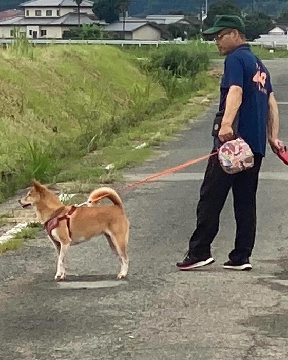 画像293