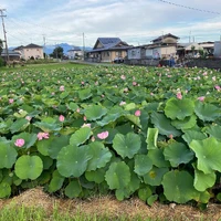 画像297