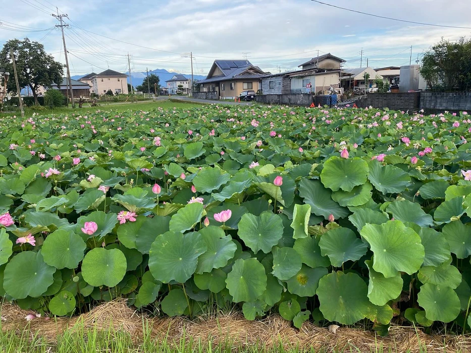 画像297