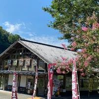 画像319
