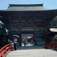画像336