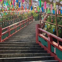 画像337